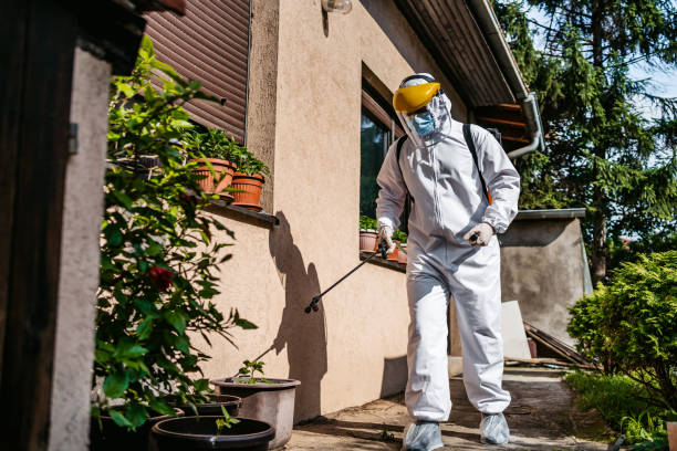 Best Affordable Pest Control Services  in Abingdon, MD