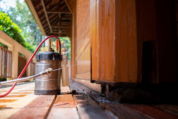 Best Exterminator Services  in Abingdon, MD