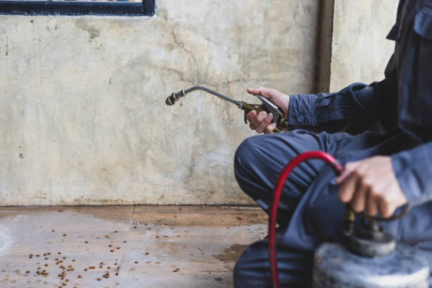 Best Mosquito Control Services  in Abingdon, MD